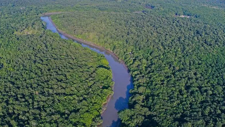 Inaugural Edition Of Bhitarkanika Festival On February 7 Bhitarkanika