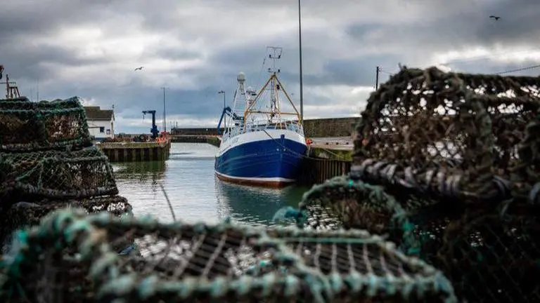 Spain's fishing industry in decline over virus fears