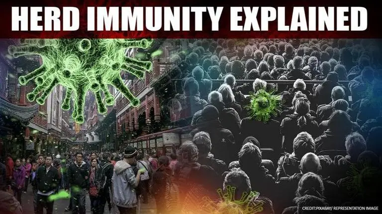 Explainer: As Sweden attempts to achieve herd immunity against COVID, here's what it means Explainer: As Sweden attempts to achieve herd immunity against COVID, here's what it means