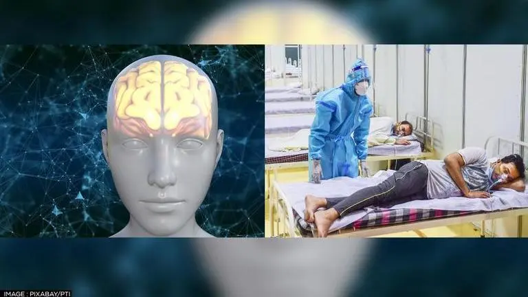 COVID-19 triggers immune response in human brain cells, new study reveals COVID-19