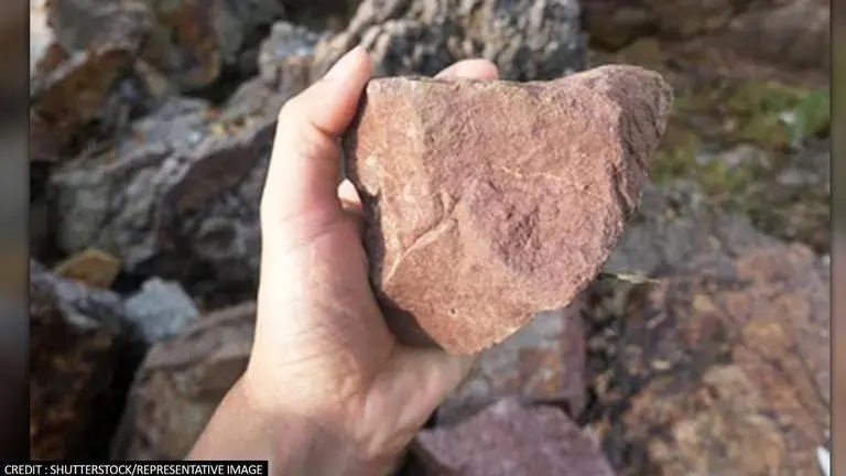 Kenya's Lomekwi 3 emerges as world's oldest site as 3.3 million year old fossil discovered Kenya