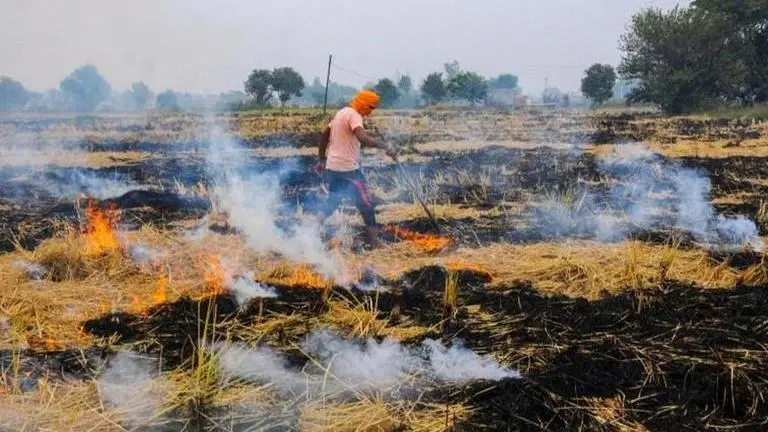 Farmers demand Rs 1-cr compensation for family of grower who killed himself in Faridkot Farmers