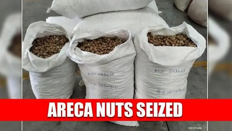 Areca nuts worth Rs 3.25 crore seized by DRI at Andhra's Krishnapatnam Port Areca