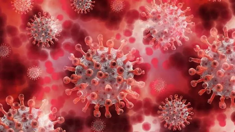 'COVID-19 toes' a side effect of contracting coronavirus; needs immediate treatment: Study COVID-19