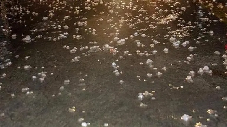 Haryana: Unseasonal rain and hailstorm destroy crops, farmers distressed Haryana