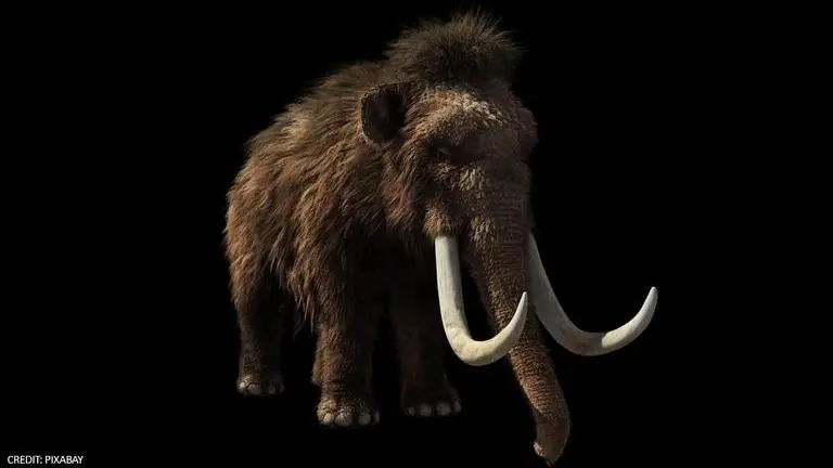 Colossal bio firm vows to revive extinct mammoths by 2027; raises $15 million Colossal bio firm