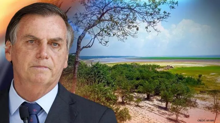 Bolsonaro faces the heat from foreign investors, pressurised to protect Amazon rainforest Brazilian President Bolsonaro under pressure from foreign investors