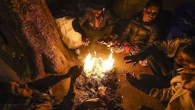 Cold wave persists in parts of Rajasthan Representative Image