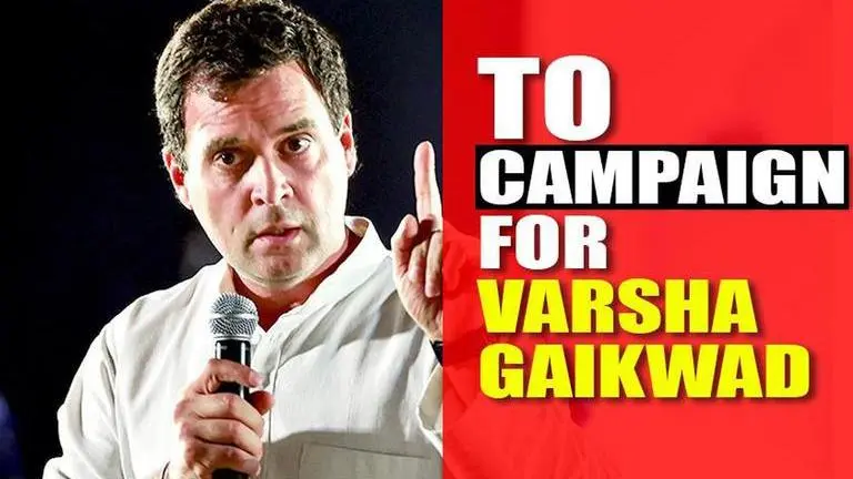 Maharashtra elections: Rahul Gandhi to hold rally 6 days before polls Maharashtra