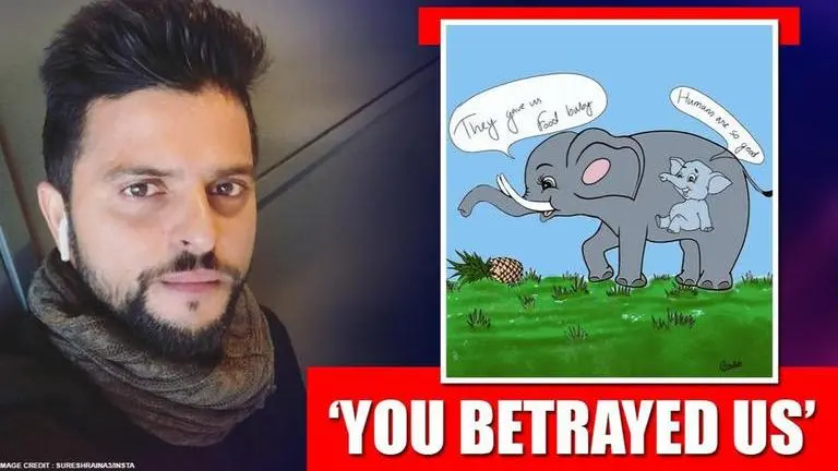 'Shameful act of Human Cruelty:' Raina lashes out at culprits involved in killing elephant Suresh Raina
