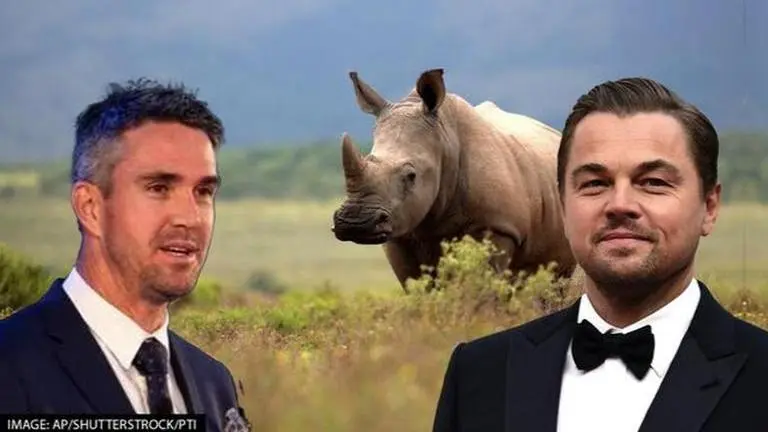 Not just Leonardo DiCaprio, English batsman Kevin Pietersen once batted for Indian rhinos Leonardo Di Caprio