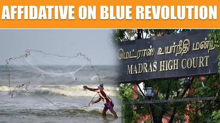 Madras HC seeks more details from Centre on 'Blue Revolution' Madras High Court