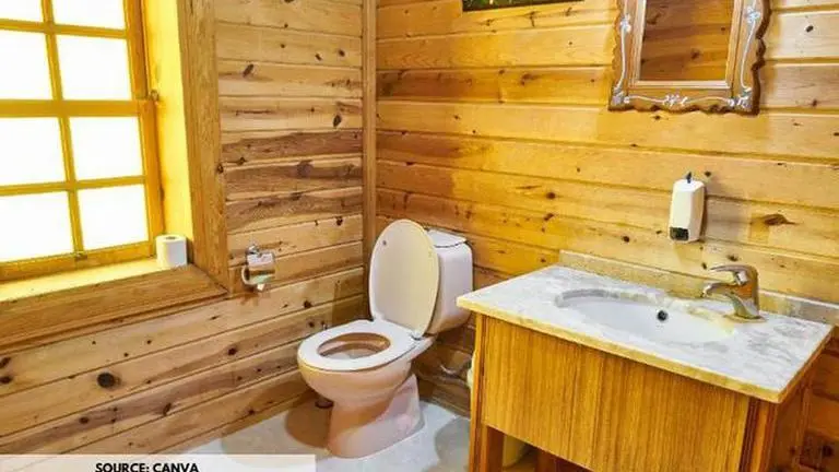 World Toilet Day 2021: Know about its history, importance & this year's theme World Toilet Day 2021