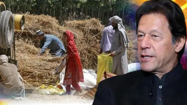 Pakistan: Farmers & their families plan protest against Imran Khan govt over GST exemption Pakistan