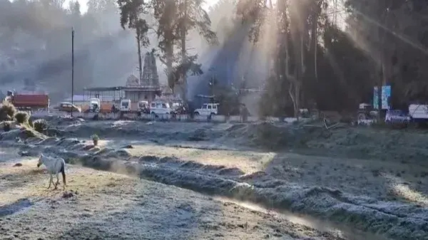 As minimum temp falls to 0°C, TN hamlet in the Nilgiris takes on an Icelandic appearance. Nilgiris