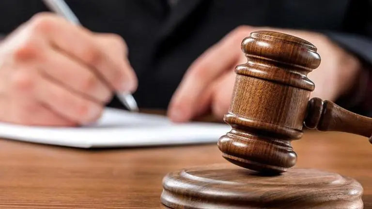 Bombay HC raps NMMC over mangroves, cites Australian bushfire Bombay