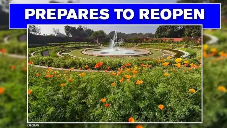 Srinagar's Mughal Gardens' restoration begins so 'tourists get best view post lockdown' Srinagar