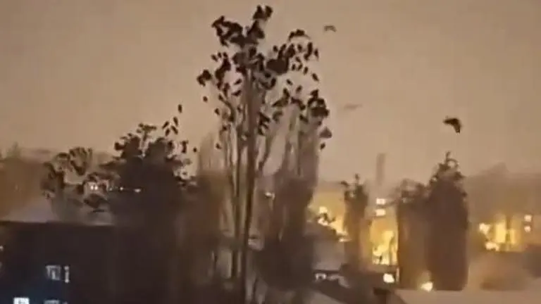 Flock of birds fly frantically before deadly earthquake in Turkey, Anand Mahindra reacts Turkey