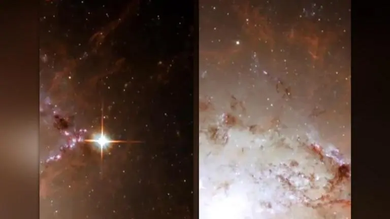 'Magnetic force to be reckoned with': NASA's latest video leaves netizens amused; watch NASA