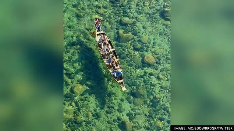 Meghalaya's River Umngot: 'One of cleanest rivers in the world' stuns netizens; Watch Meghalaya