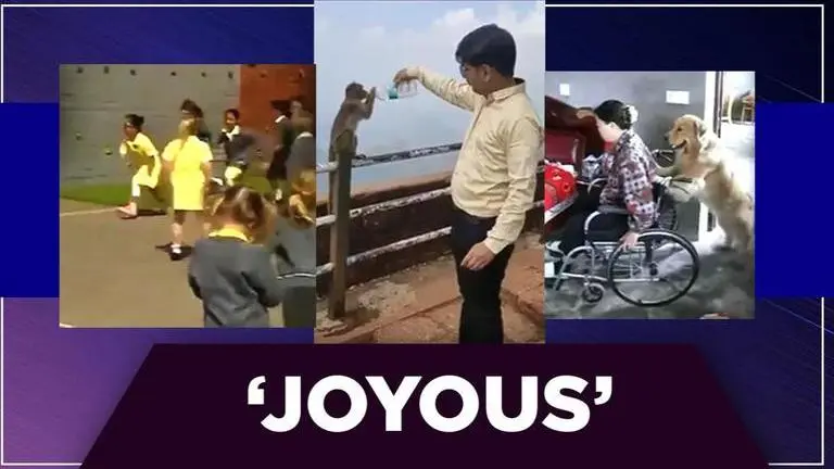 Good News: From man helping monkey to dog being 'best companion', read 5 cheerful stories Good News