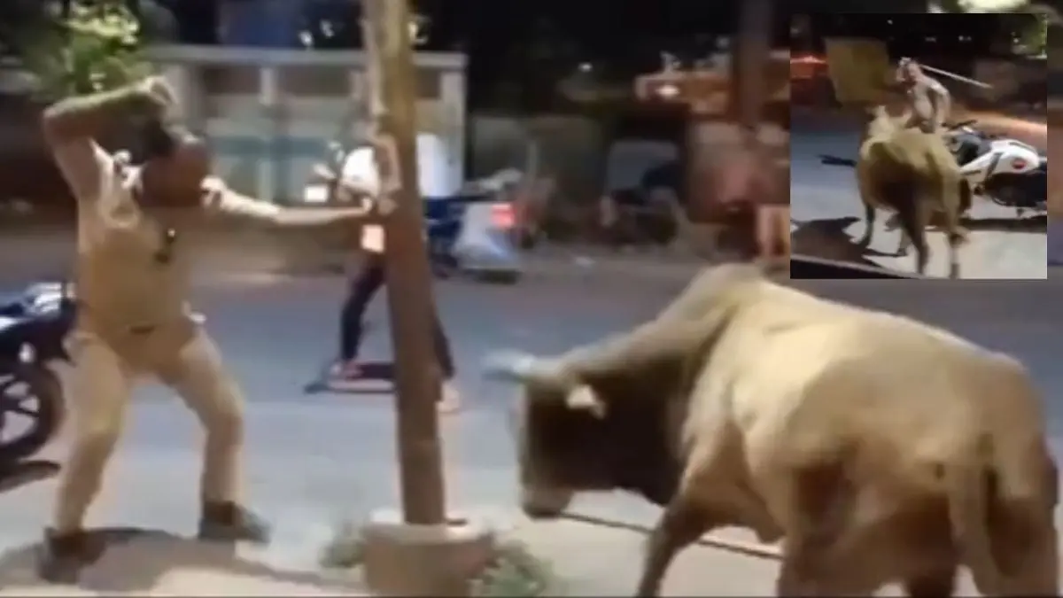 Viral Video: Police Hits Bull With Stick As It Chases Him On Busy Road | Watch Cop Hits Bull With Stick In Hardoi