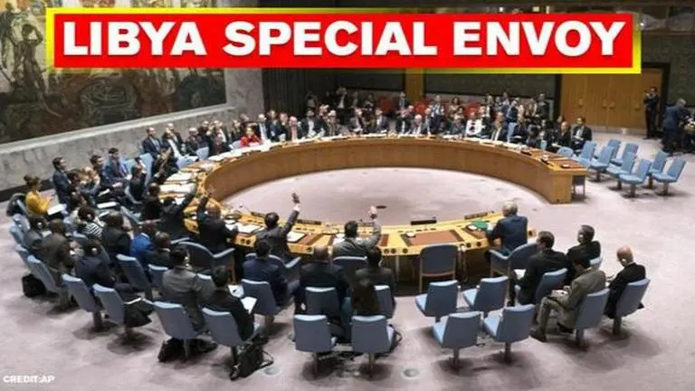 UNSC adopts resolution calling for the appointment of special envoy