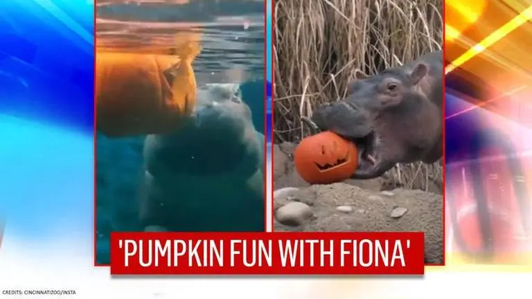 Fiona