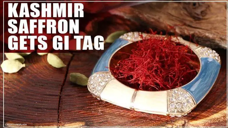 Kashmiri saffron gets GI tag for its quality as inferior imports disturb markets Saffron