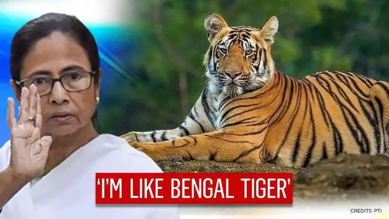 'I'll live like Royal Bengal Tiger': Mamata Banerjee unafraid; 'Gujarat won't rule Bengal' Mamata Banerjee