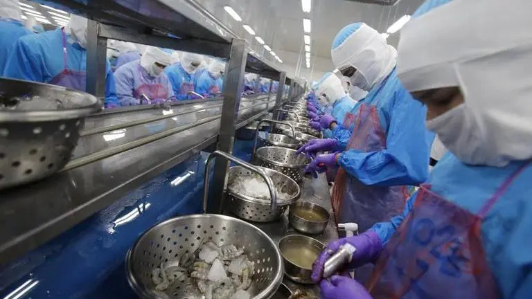 ILO says working conditions improve in Thai seafood sector