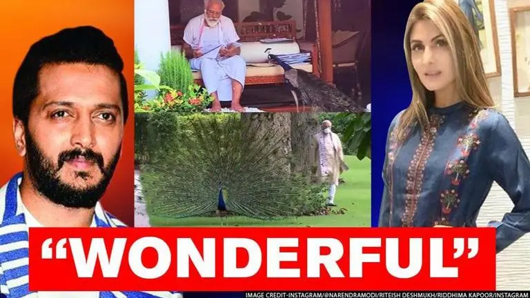 PM Modi's 'precious moments' with peacock leaves Bollywood stars awestruck PM Modi's 'precious moments' with peacock leaves Bollywood stars awestruck