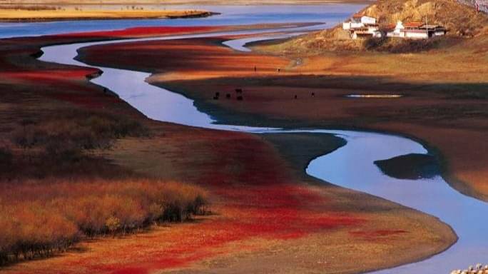 Description of the pic