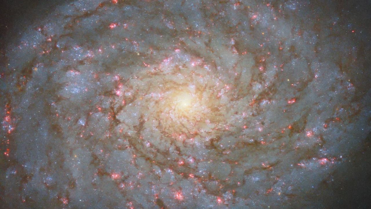 Nasa Unveils Stunning Image Of Spiral Galaxy NGC 4689- Republic World