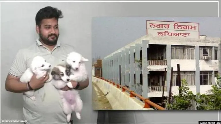 online pet registration