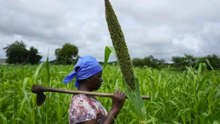Nepal expresses readiness to cooperate with India to promote millet cultivation