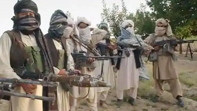 'Will not recognise Taliban if they come to power in Afghan by force': EU representative Taliban