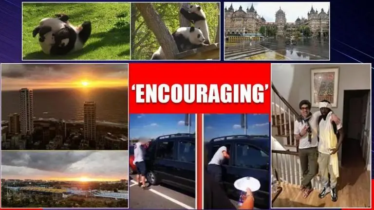 Good News: From Mumbai's crimson sky to 'hero shopper', best stories spreading positivity Good News