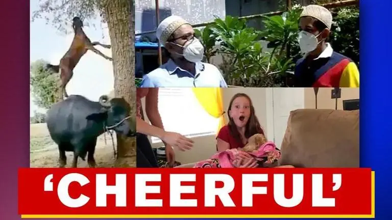 Good News: From teenager distributing PPE kits to cute surprise, read 5 uplifting stories Good News