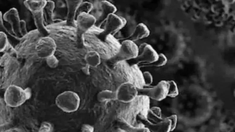 Chhattisgarh: COVID-19 cases mount by 25 to 92