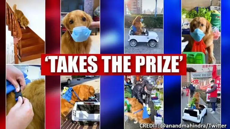 Anand Mahindra shares TikTok video to explain how world may change after Coronavirus Anand Mahindra