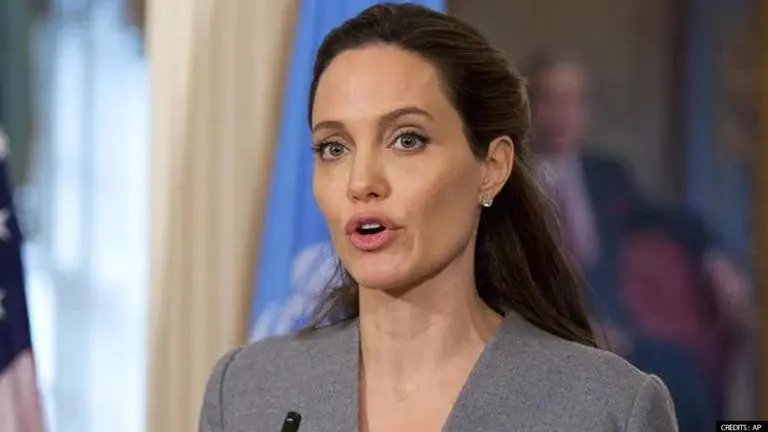 Angelina Jolie's book