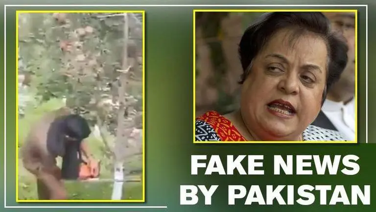Pakistan minister shares old video to target India, gets called out Pakistan