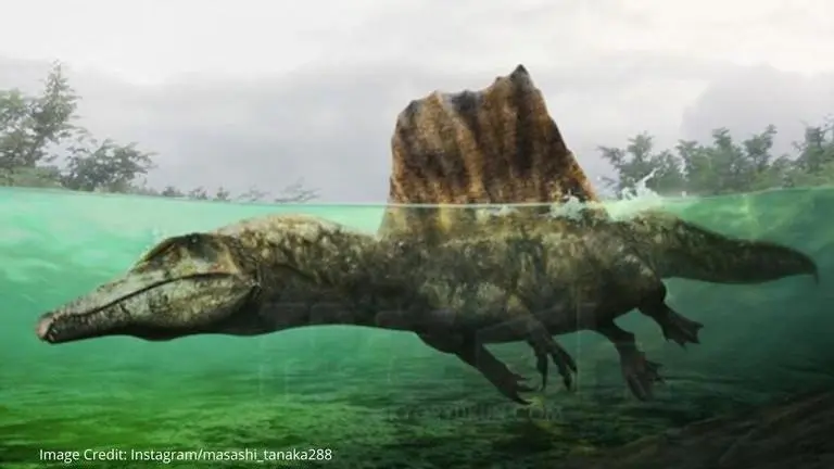 Spinosaurus terrorized rivers and river banks as a semi-aquatic animal: Study Spinosaurus