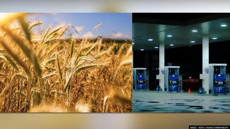 Norway fertiliser giant warns EU gas price hike can lead to 'famine' due to food inflation Norway