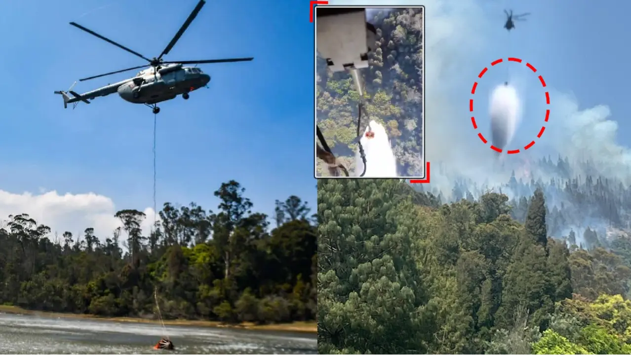 IAF Helicopters Conduct 'Bambi Bucket' Operations to Control Forest Fire in Nilgiris | Video Indian Air Force helicopters conduct 'Bambi Bucket' operations to douse fire in the Nilgiris forest