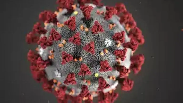 COVID-19 cases in Rajasthan rise to 79