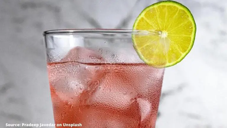 Summer mocktails - Easy recipes you can make at home during quarantine summer mocktails