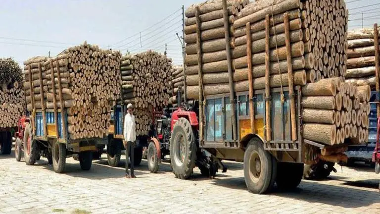 Jammu and Kashmir: Two booked, smuggle timber recovered