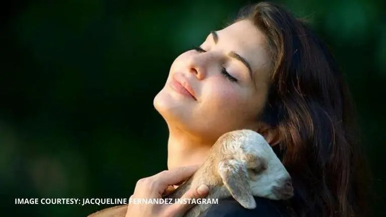 Jacqueline creates short film on 'eventful experiences'; Salman shares it with the world jacqueline fernandez